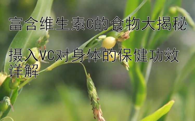 富含维生素C的食物大揭秘  
摄入VC对身体的保健功效详解